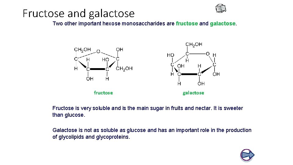 Fructose and galactose Two other important hexose monosaccharides are fructose and galactose. fructose galactose