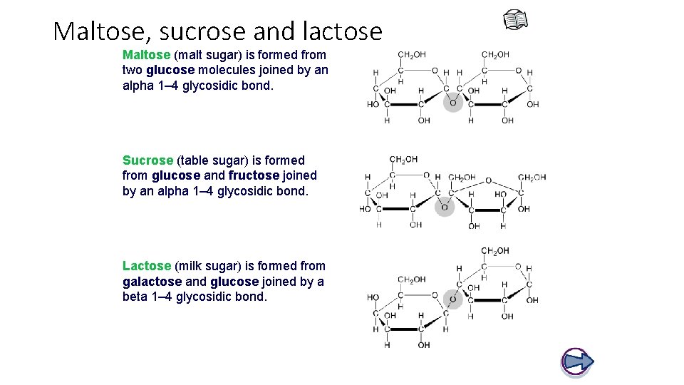 Maltose, sucrose and lactose Maltose (malt sugar) is formed from two glucose molecules joined
