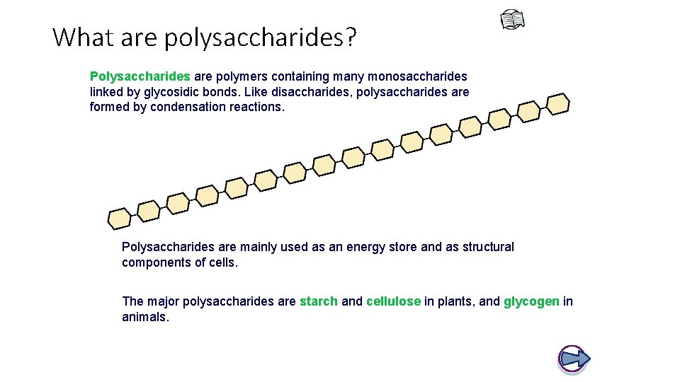What are polysaccharides? Polysaccharides are polymers containing many monosaccharides linked by glycosidic bonds. Like