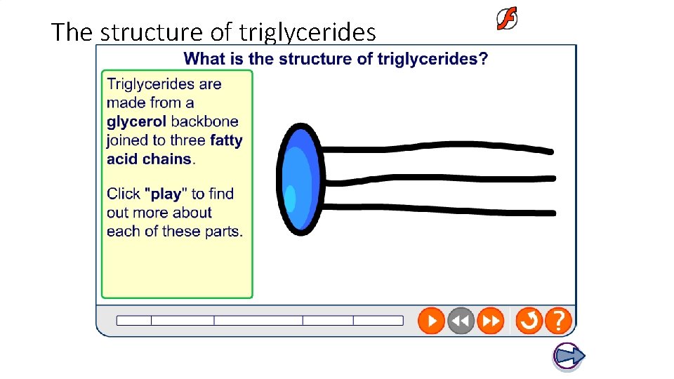 The structure of triglycerides 