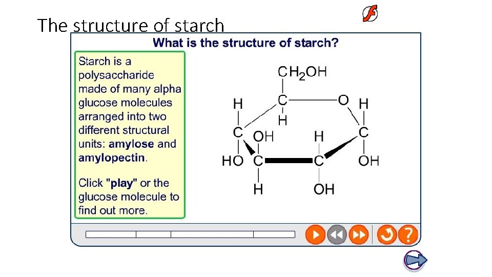 The structure of starch 