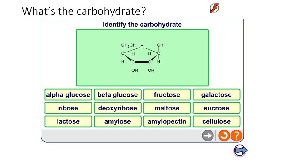 What’s the carbohydrate? 
