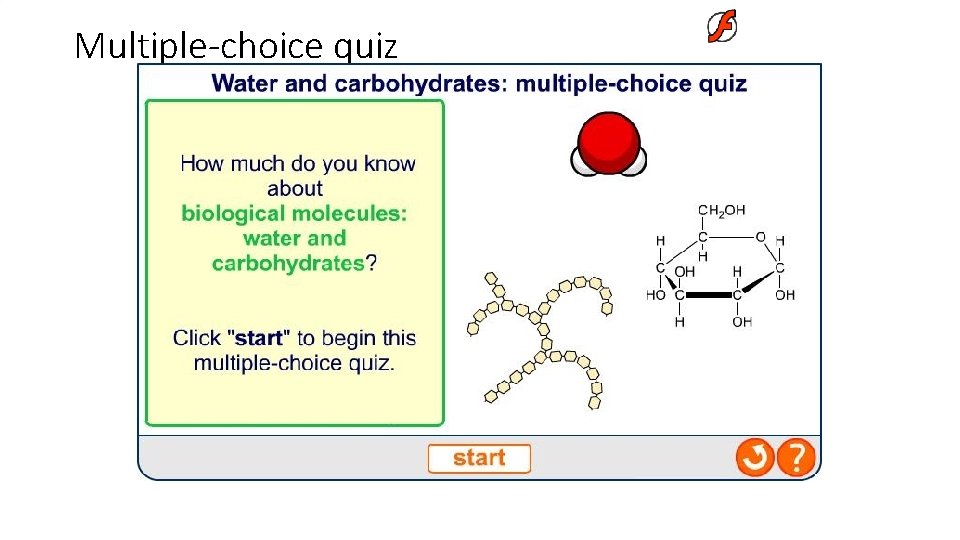 Multiple-choice quiz 