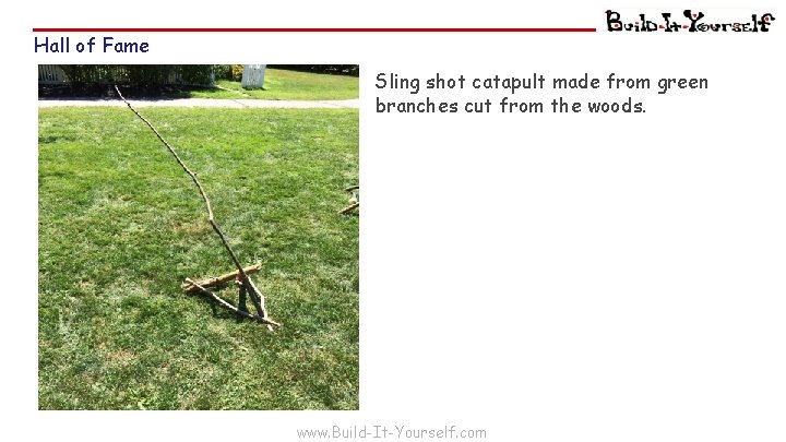 Hall of Fame Sling shot catapult made from green branches cut from the woods.