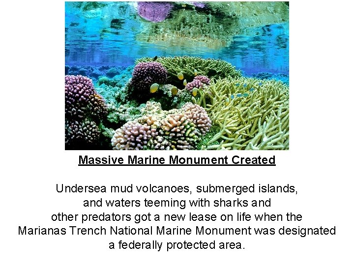 Massive Marine Monument Created Undersea mud volcanoes, submerged islands, and waters teeming with sharks