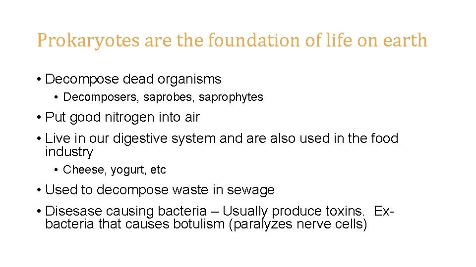 Prokaryotes are the foundation of life on earth • Decompose dead organisms • Decomposers,