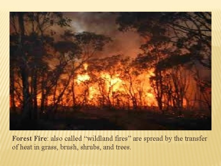 Forest Fire: also called “wildland fires” are spread by the transfer of heat in