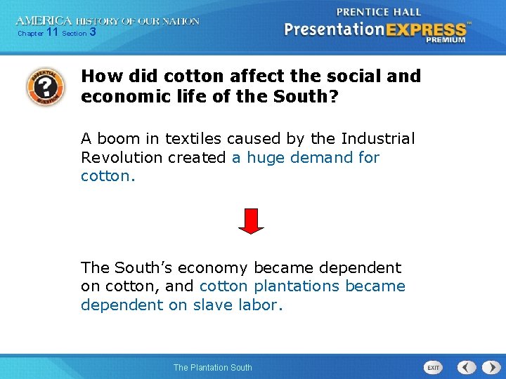 Chapter 11 Section 3 How did cotton affect the social and economic life of