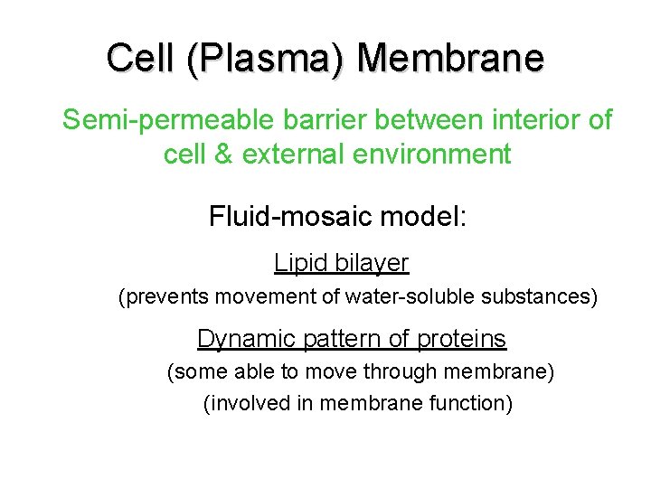 Cell (Plasma) Membrane Semi-permeable barrier between interior of cell & external environment Fluid-mosaic model: Cell (Plasma) Membrane Semi-permeable barrier between interior of cell & external environment Fluid-mosaic model: