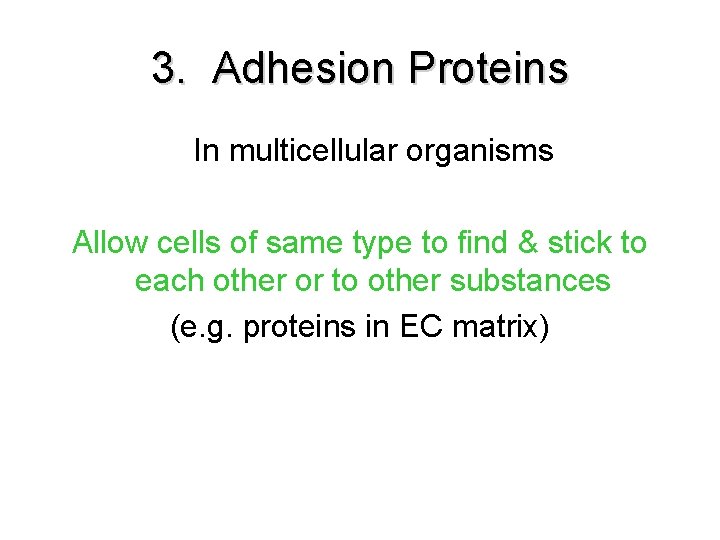 3. Adhesion Proteins In multicellular organisms Allow cells of same type to find & 3. Adhesion Proteins In multicellular organisms Allow cells of same type to find &