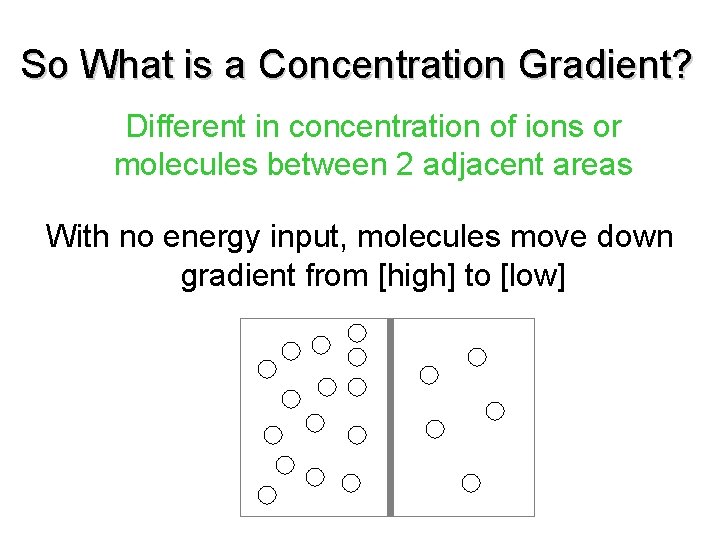So What is a Concentration Gradient? Different in concentration of ions or molecules between So What is a Concentration Gradient? Different in concentration of ions or molecules between