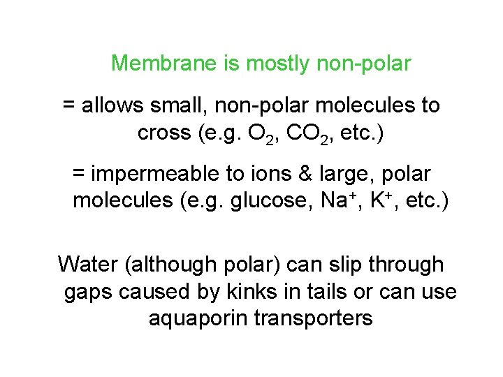 Membrane is mostly non-polar = allows small, non-polar molecules to cross (e. g. O Membrane is mostly non-polar = allows small, non-polar molecules to cross (e. g. O