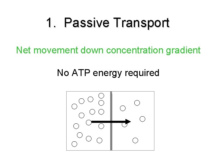 1. Passive Transport Net movement down concentration gradient No ATP energy required 1. Passive Transport Net movement down concentration gradient No ATP energy required