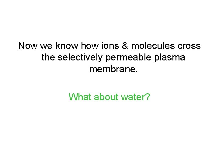 Now we know how ions & molecules cross the selectively permeable plasma membrane. What Now we know how ions & molecules cross the selectively permeable plasma membrane. What