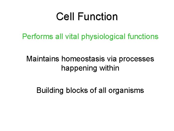 Cell Function Performs all vital physiological functions Maintains homeostasis via processes happening within Building Cell Function Performs all vital physiological functions Maintains homeostasis via processes happening within Building