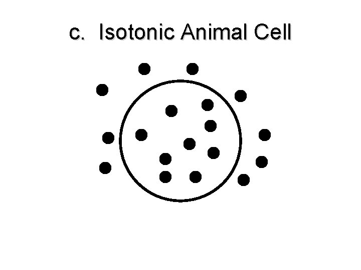 c. Isotonic Animal Cell c. Isotonic Animal Cell