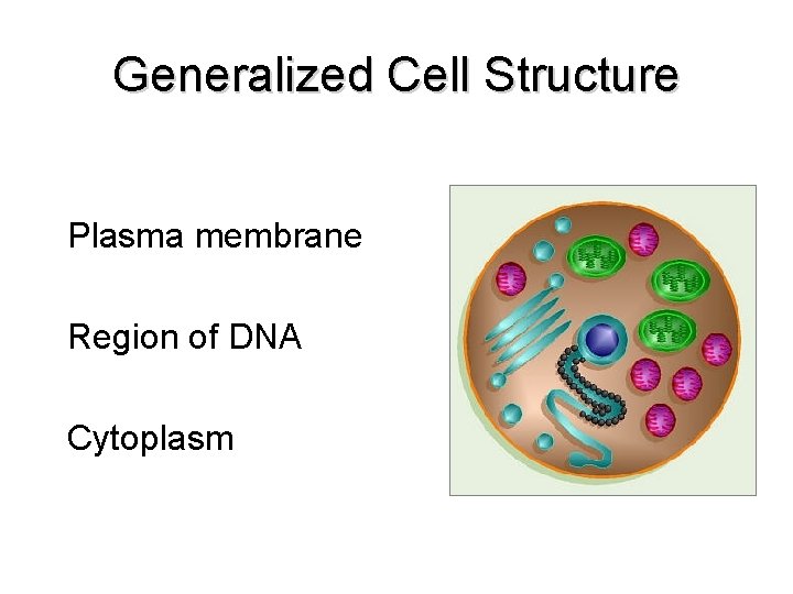 Generalized Cell Structure Plasma membrane Region of DNA Cytoplasm Generalized Cell Structure Plasma membrane Region of DNA Cytoplasm