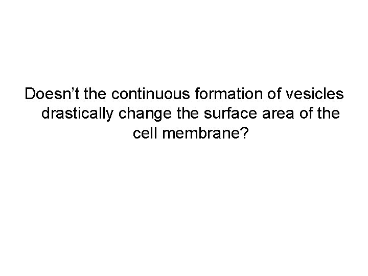 Doesn’t the continuous formation of vesicles drastically change the surface area of the cell Doesn’t the continuous formation of vesicles drastically change the surface area of the cell