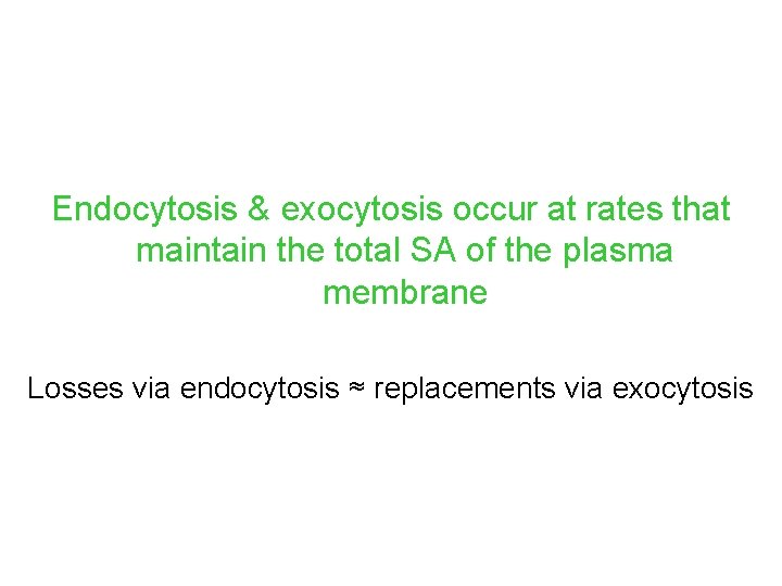 Endocytosis & exocytosis occur at rates that maintain the total SA of the plasma Endocytosis & exocytosis occur at rates that maintain the total SA of the plasma