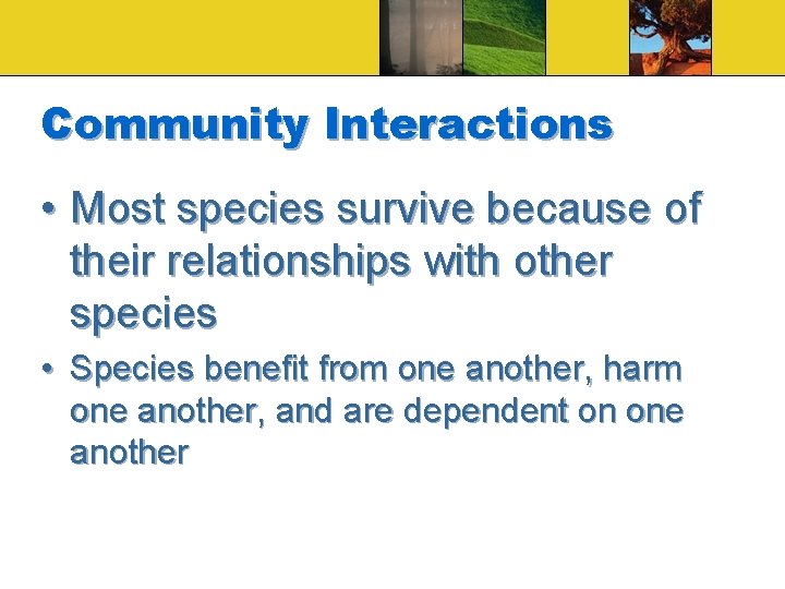 Community Interactions • Most species survive because of their relationships with other species •