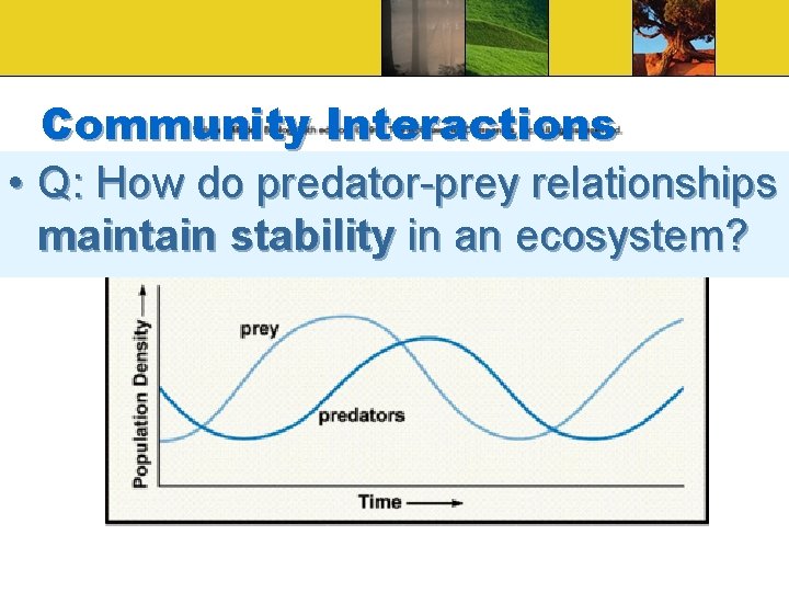 Community Interactions • Q: How do predator-prey relationships maintain stability in an ecosystem? 
