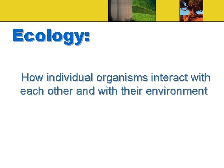 Ecology: How individual organisms interact with each other and with their environment 