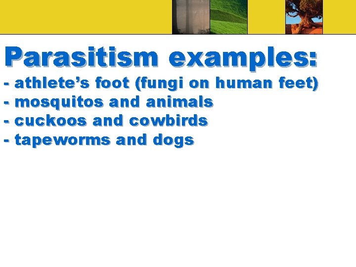 Parasitism examples: - athlete’s foot (fungi on human feet) - mosquitos and animals -