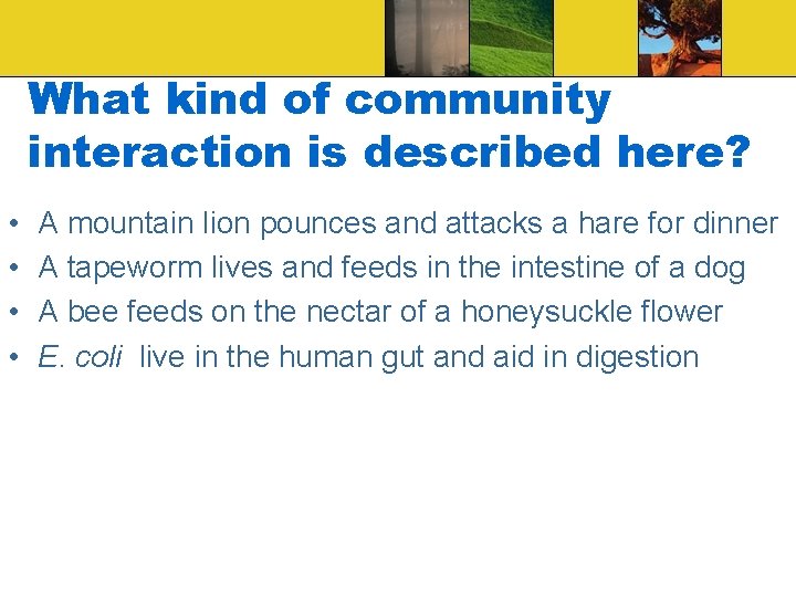 What kind of community interaction is described here? • • A mountain lion pounces