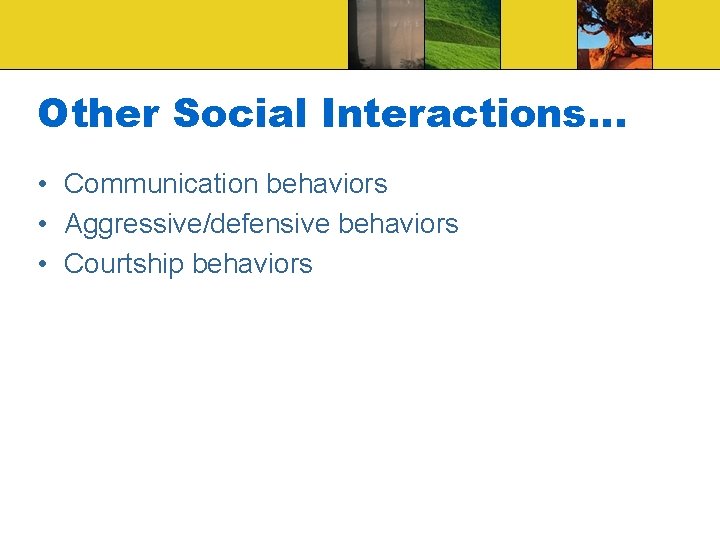 Other Social Interactions… • Communication behaviors • Aggressive/defensive behaviors • Courtship behaviors 