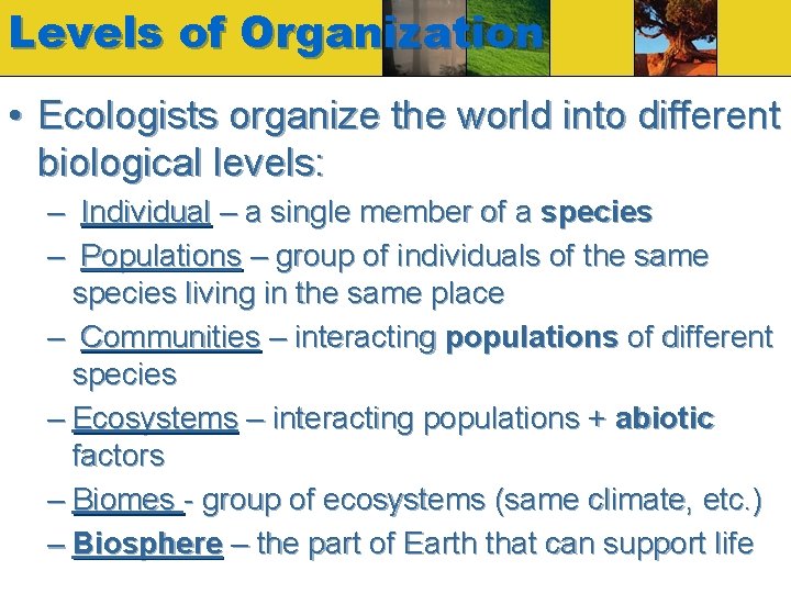 Levels of Organization • Ecologists organize the world into different biological levels: – Individual