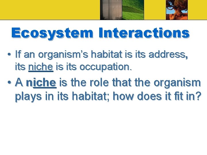 Ecosystem Interactions • If an organism’s habitat is its address, its niche is its