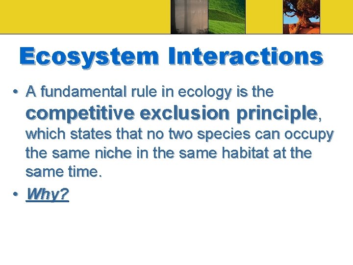 Ecosystem Interactions • A fundamental rule in ecology is the competitive exclusion principle, which