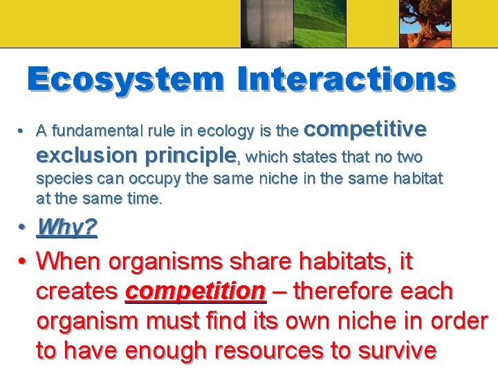 Ecosystem Interactions • A fundamental rule in ecology is the competitive exclusion principle, which