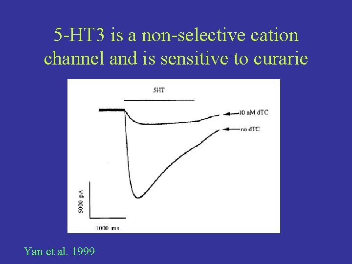 5 -HT 3 is a non-selective cation channel and is sensitive to curarie Yan