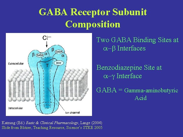 GABA Receptor Subunit Composition Two GABA Binding Sites at -b Interfaces Benzodiazepine Site at
