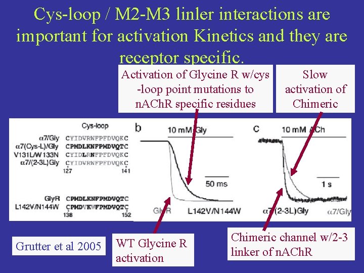 Cys-loop / M 2 -M 3 linler interactions are important for activation Kinetics and