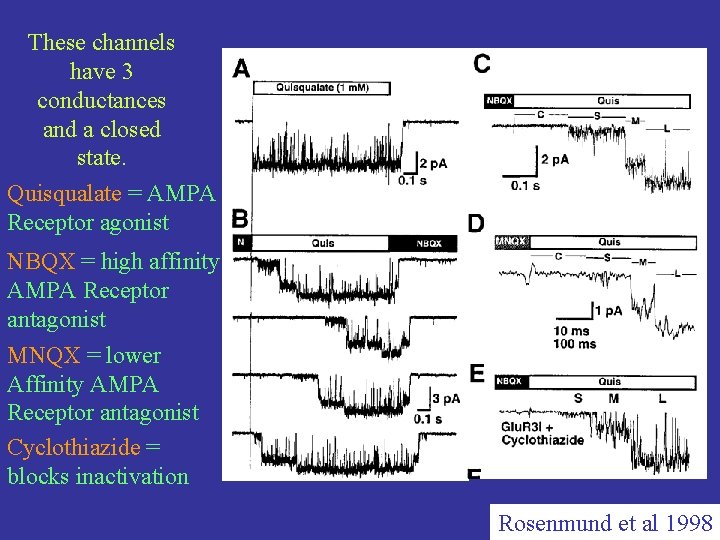 These channels have 3 conductances and a closed state. Quisqualate = AMPA Receptor agonist