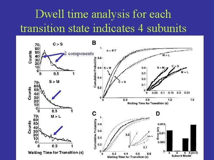 Dwell time analysis for each transition state indicates 4 subunits 2 components 