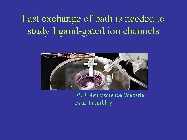 Fast exchange of bath is needed to study ligand-gated ion channels FSU Neuroscience Website