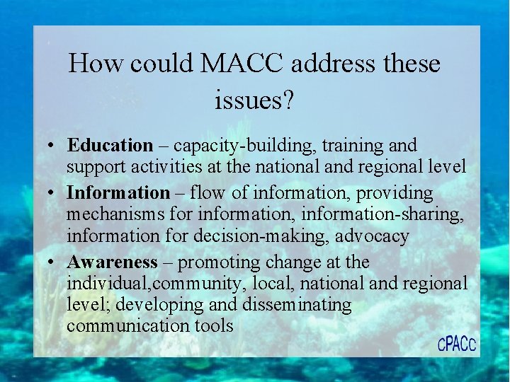 How could MACC address these issues? • Education – capacity-building, training and support activities