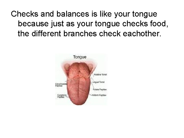 Checks and balances is like your tongue because just as your tongue checks food, Checks and balances is like your tongue because just as your tongue checks food,
