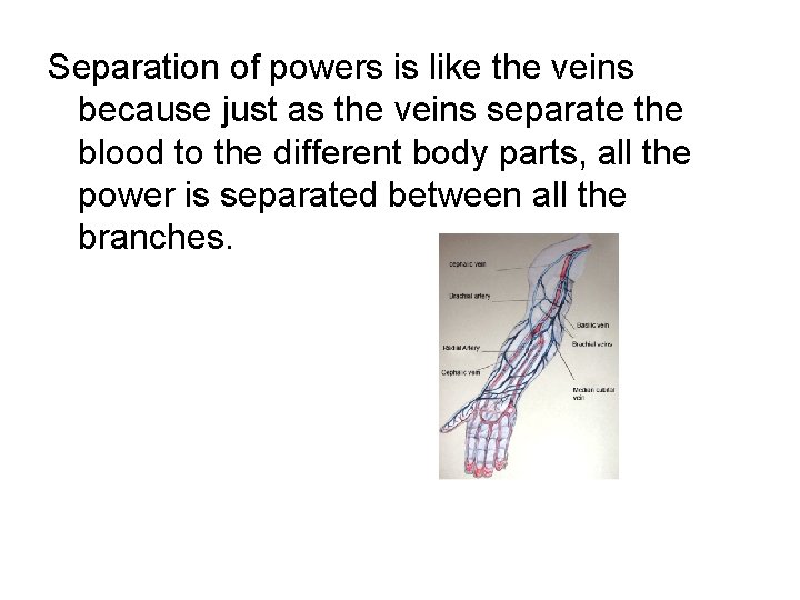 Separation of powers is like the veins because just as the veins separate the Separation of powers is like the veins because just as the veins separate the