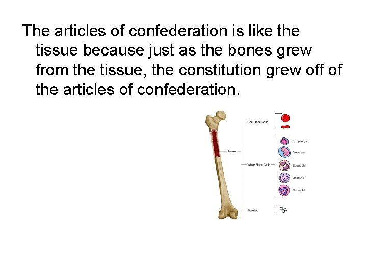 The articles of confederation is like the tissue because just as the bones grew The articles of confederation is like the tissue because just as the bones grew