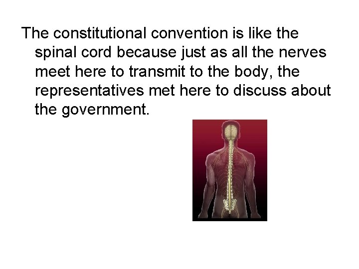 The constitutional convention is like the spinal cord because just as all the nerves The constitutional convention is like the spinal cord because just as all the nerves