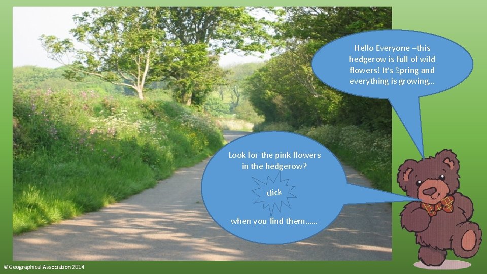 Hello Everyone –this hedgerow is full of wild flowers! It’s Spring and everything is