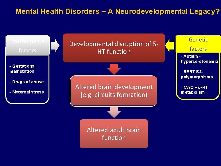 Mental Health Disorders – A Neurodevelopmental Legacy? Environmental factors Developmental disruption of 5 HT