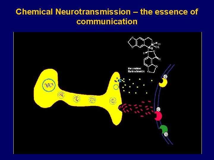 Chemical Neurotransmission – the essence of communication 