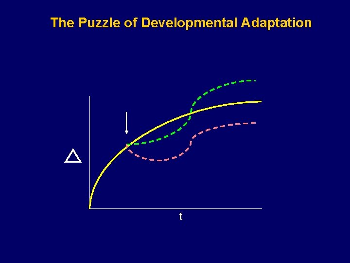 The Puzzle of Developmental Adaptation t 
