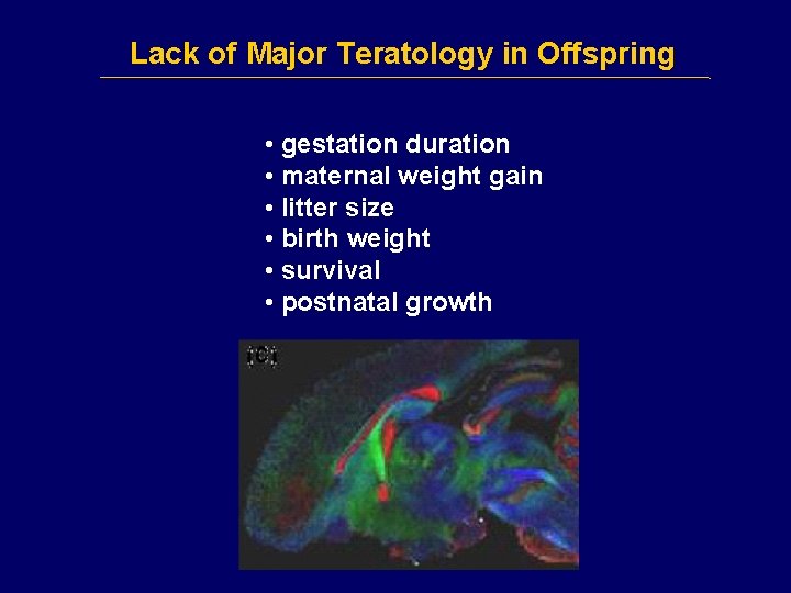Lack of Major Teratology in Offspring • gestation duration • maternal weight gain •