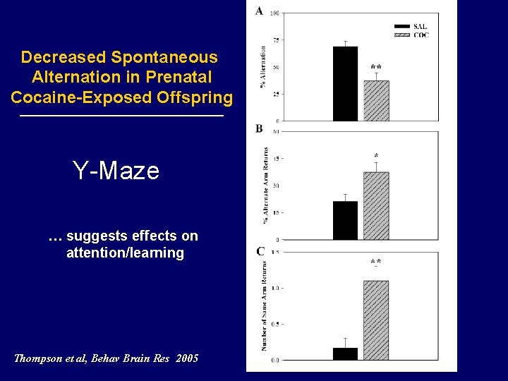 Decreased Spontaneous Alternation in Prenatal Cocaine-Exposed Offspring Y-Maze … suggests effects on attention/learning Thompson